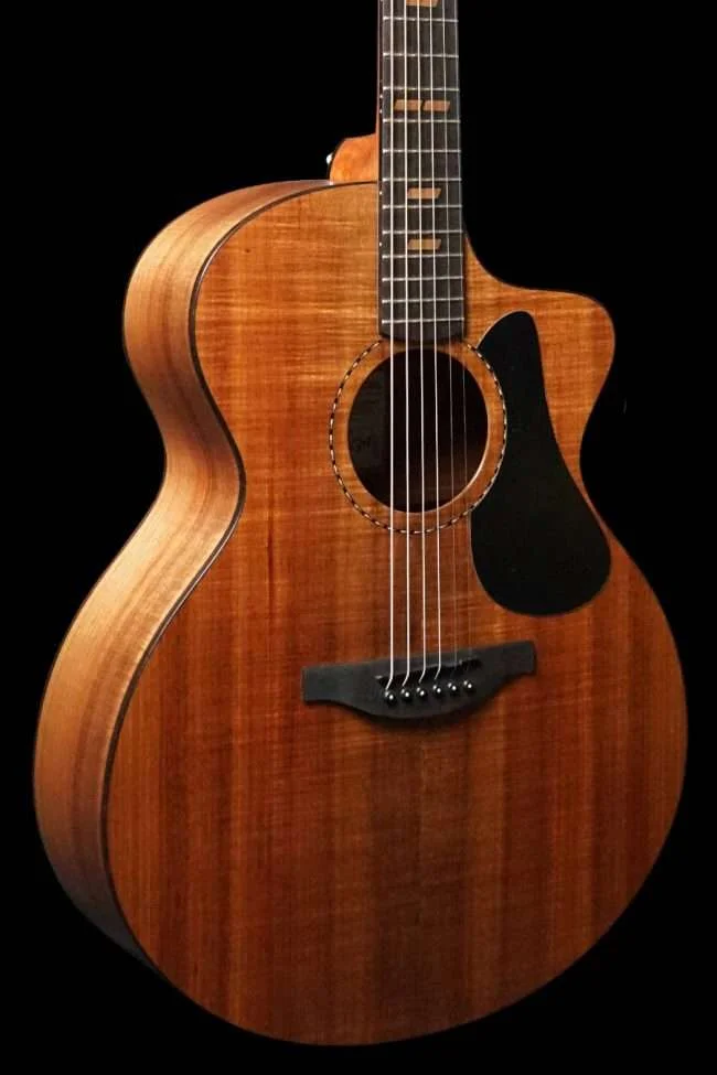 Fenech VTH D78C Dreadnought All Blackwood Ac/Elec w/Hard Case