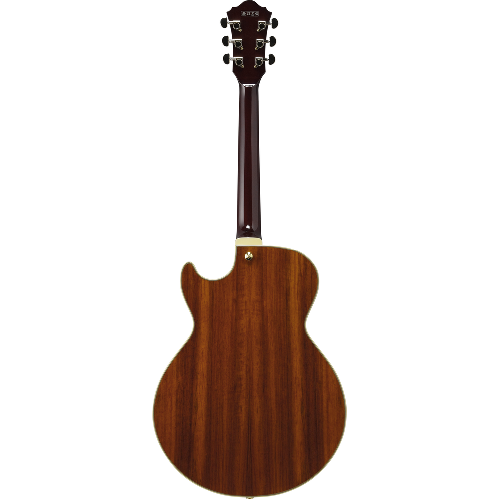 Ibanez AG95KNT Electro Acoustic Guitar Natural