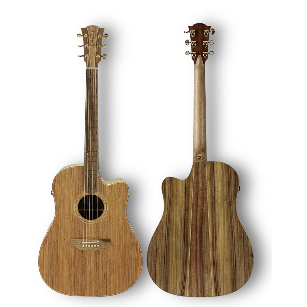 Cole Clark FL Dreadnought 2 Series FL2EC-BLBL Blackwood Top Blackwood Back/Sides