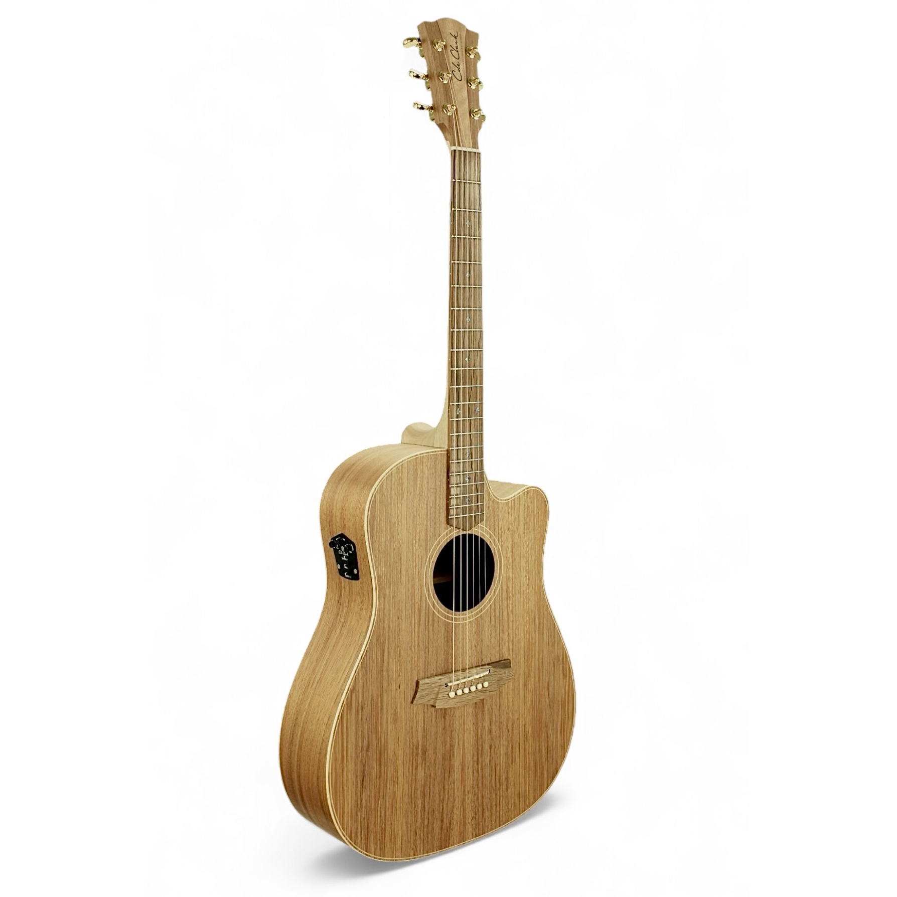 Cole Clark FL Dreadnought 2 Series FL2EC-BLBL Blackwood Top Blackwood Back/Sides