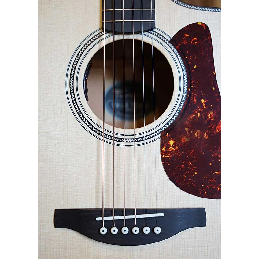 Fenech True Tone D78c Dreadnought Spruce/Mahogany Ac/Elec w/Case