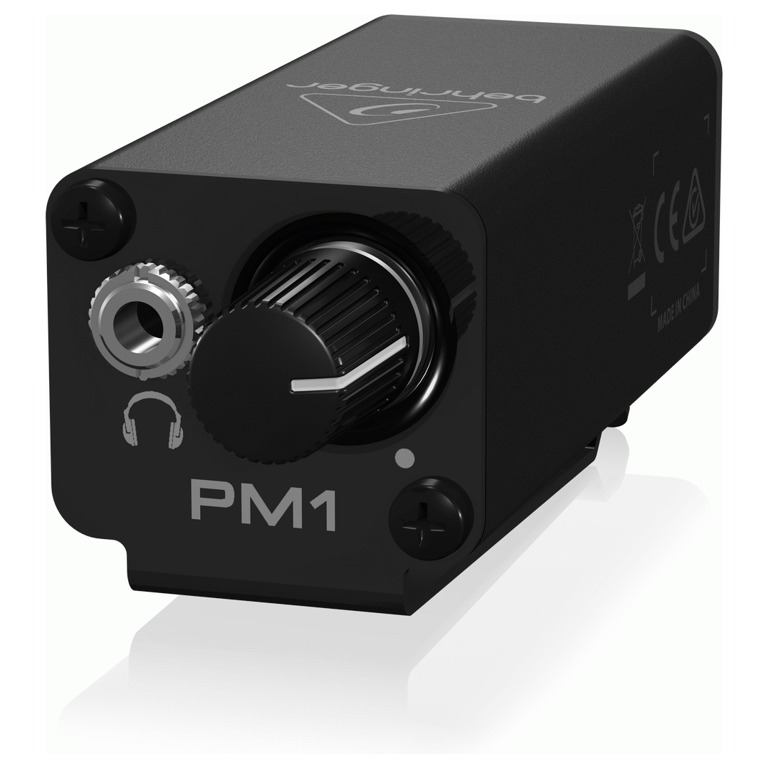 PM1