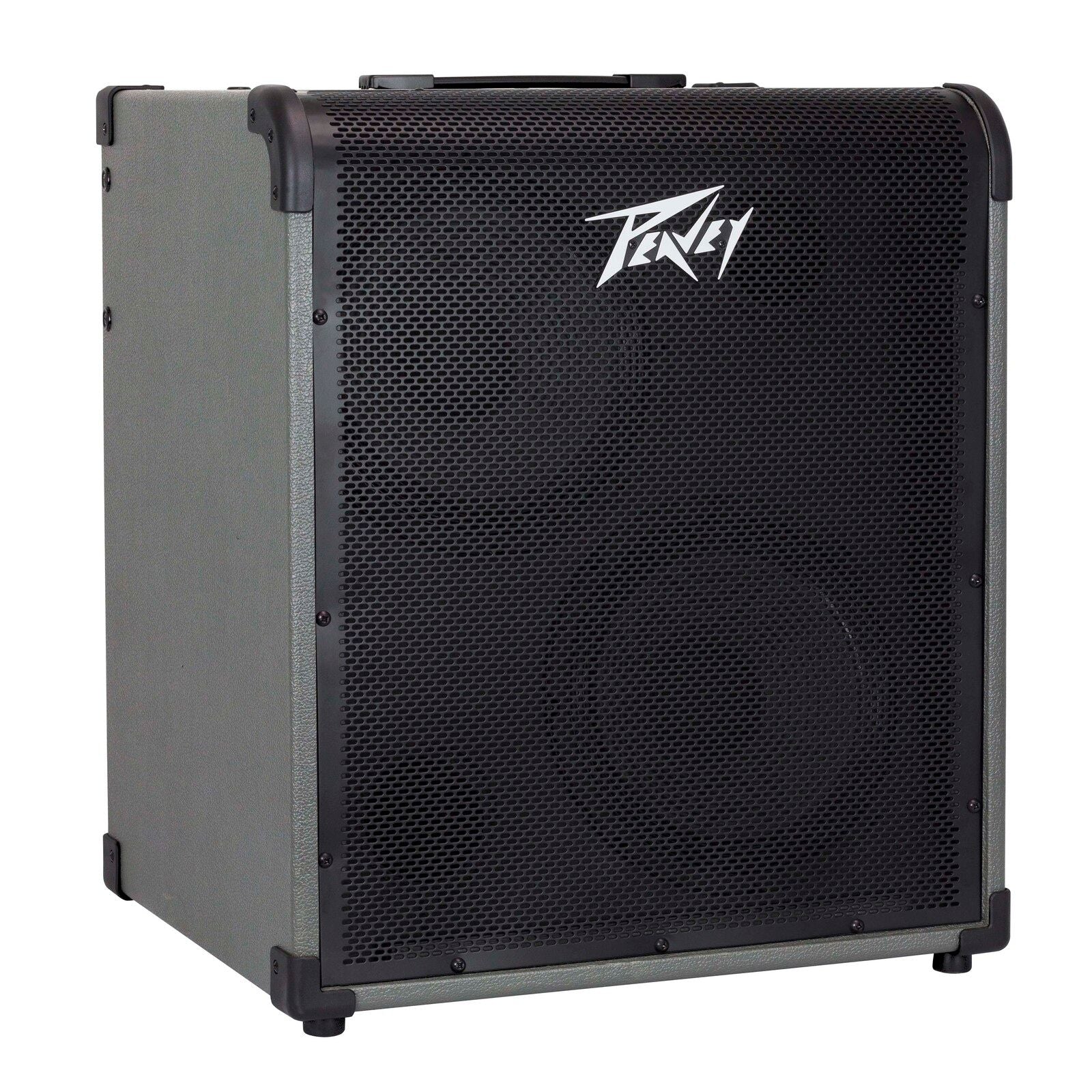 Peavey MAX Series MAX300 Bass Amp Combo 300-Watt 2x10in