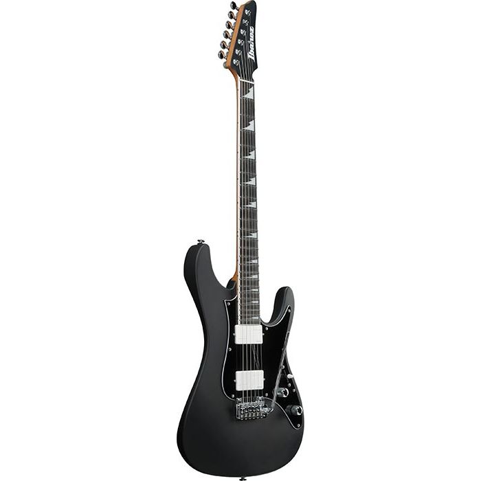 Ibanez BER10 Bernth Signature Electric Guitar with Gig Bag