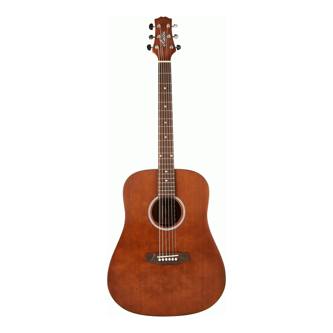 Ashton D20MS Acoustic Guitar