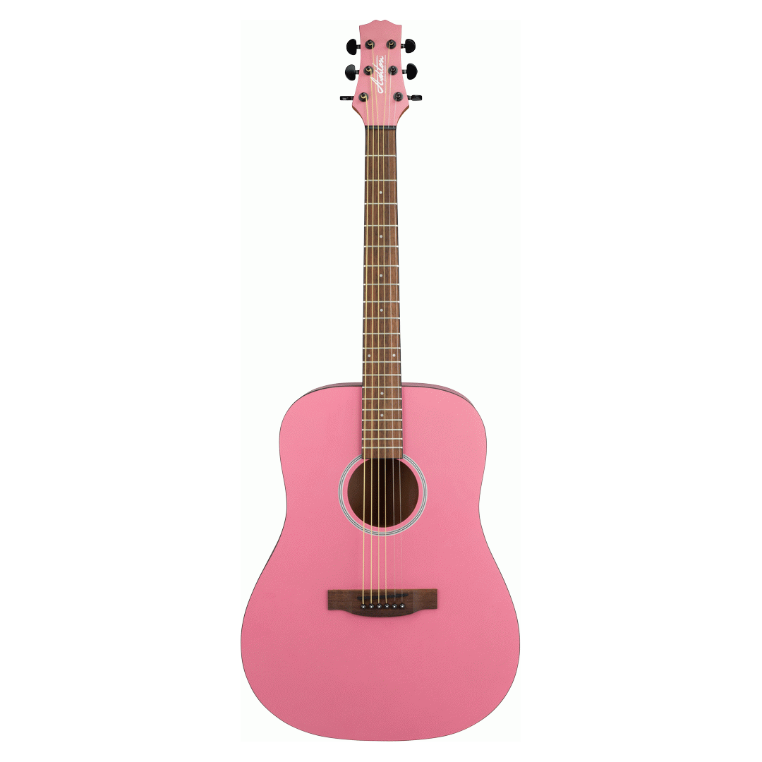 Ashton SPD30 GUV Acoustic Guitar W/Gig Bag