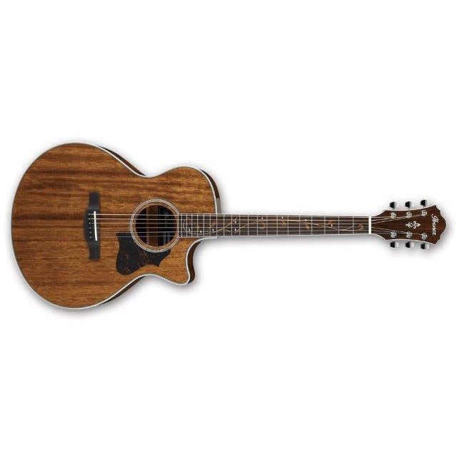 IBANEZ AE245 NT Acoustic Guitar