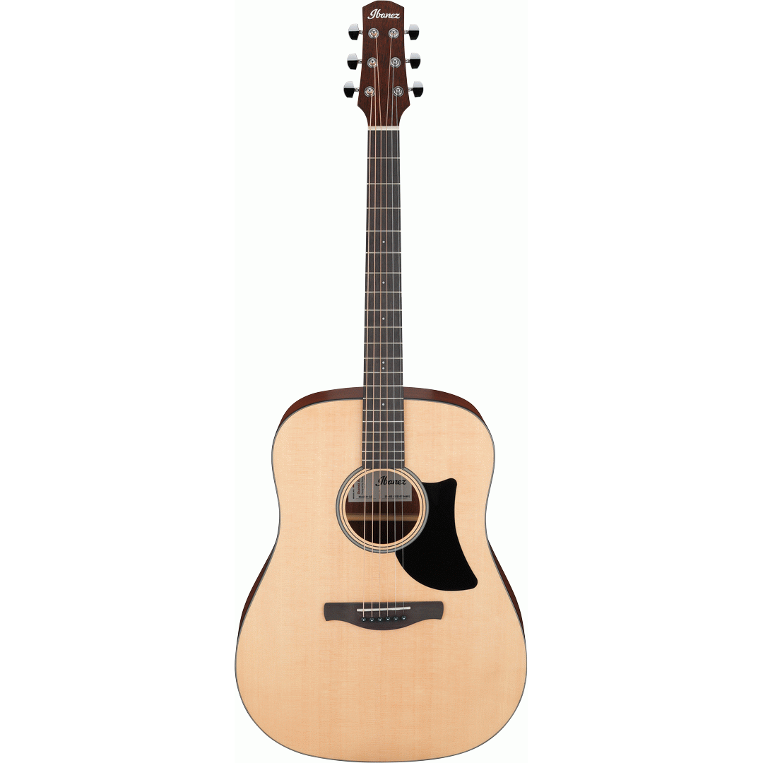 Ibanez AAD50 LG Acoustic Guitar