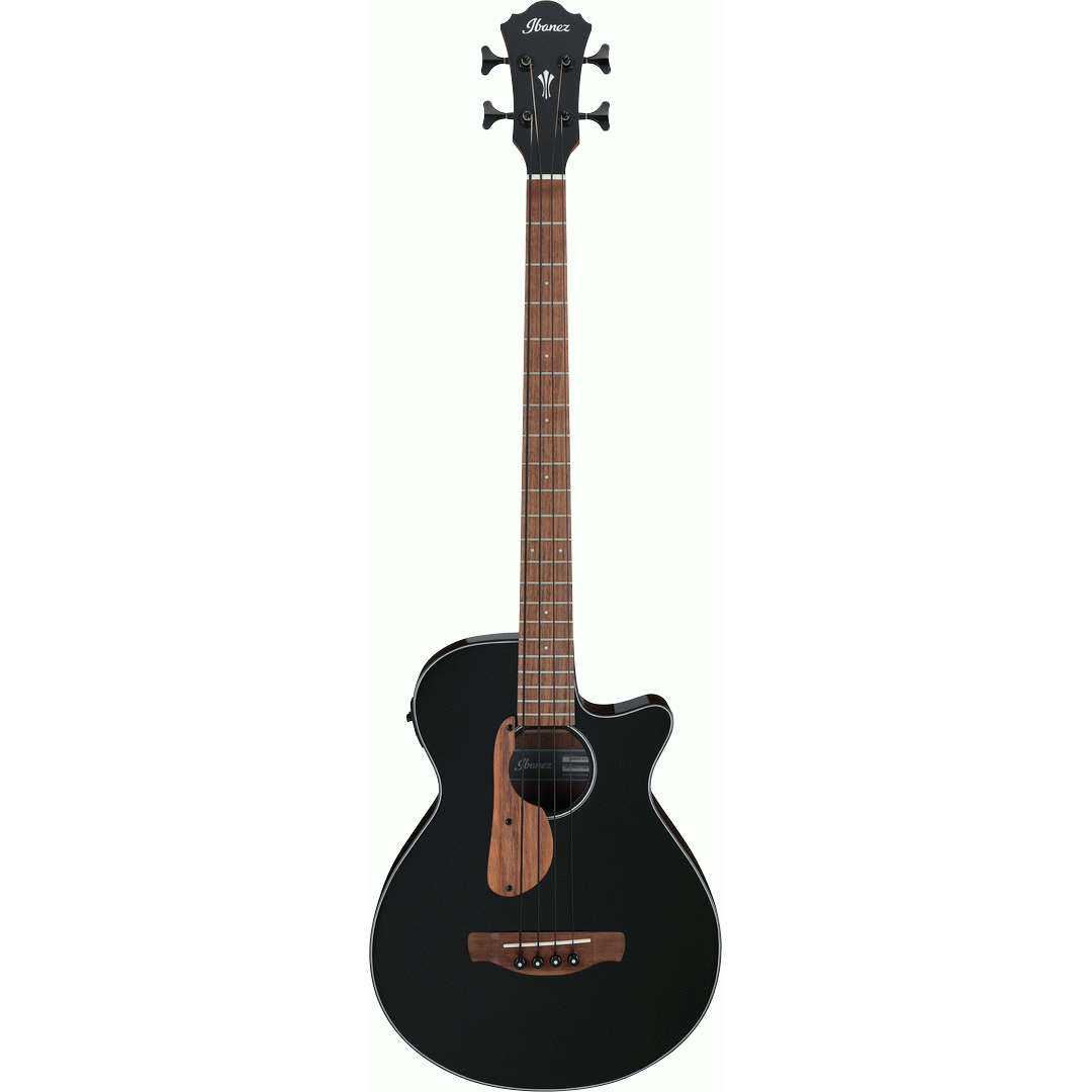 Ibanez AEGB24E BKH Acoustic Guitar