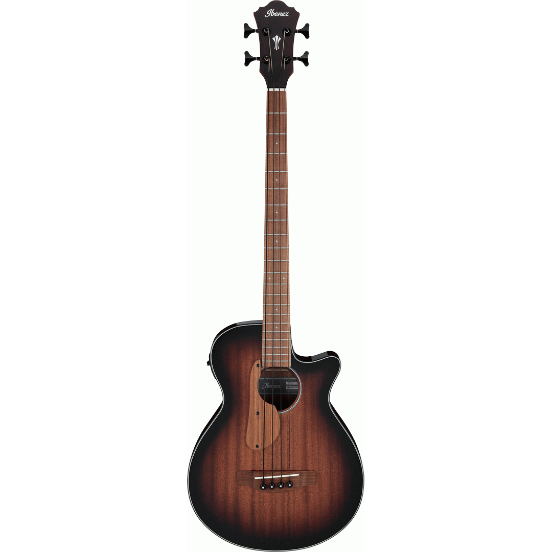 Ibanez AEGB24E MHS Acoustic Guitar