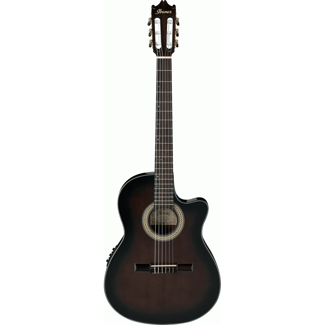 Ibanez GA35TCE DVS Classical Guitar