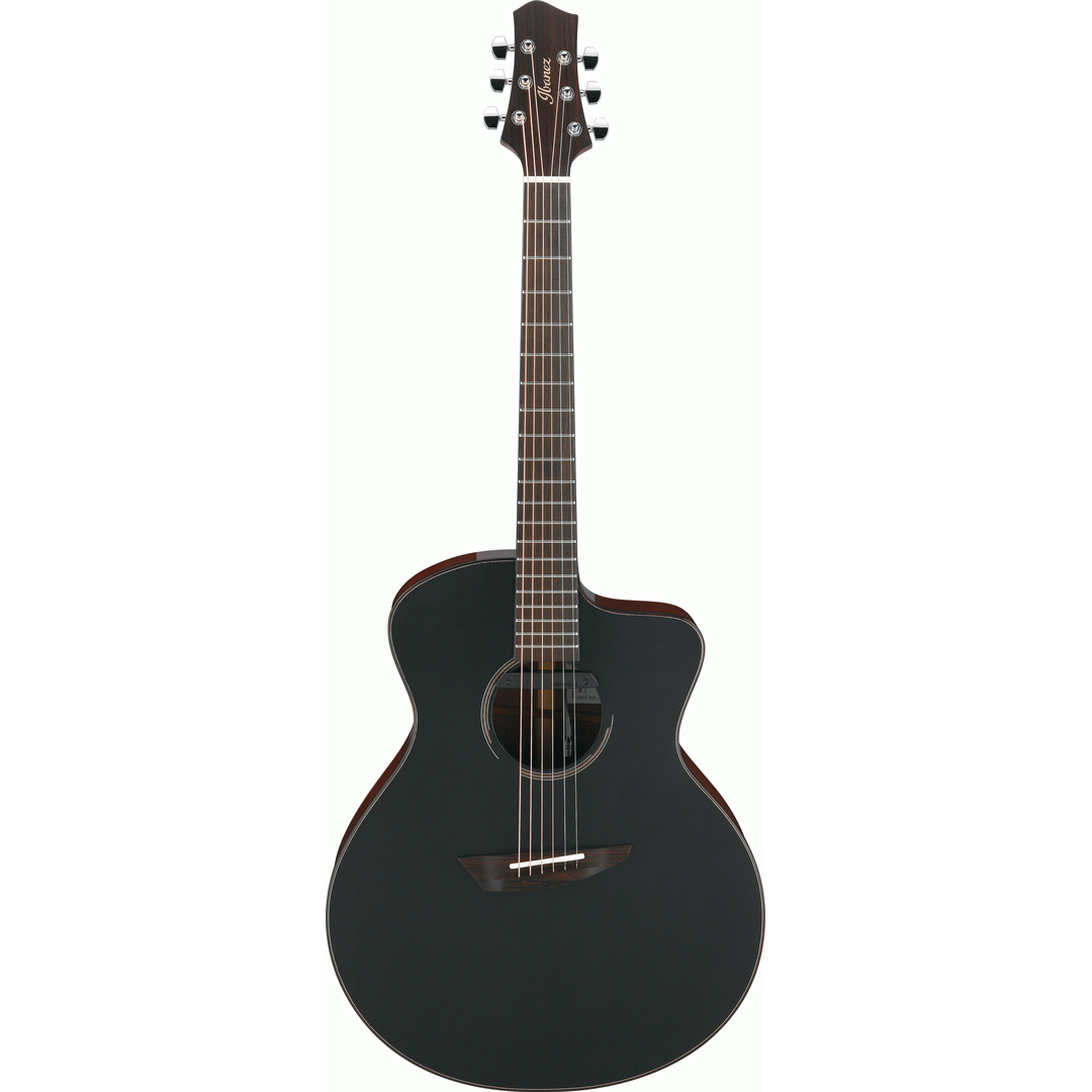 Ibanez JGM10 BSN JON GOMM Acoustic Guitar W/Case