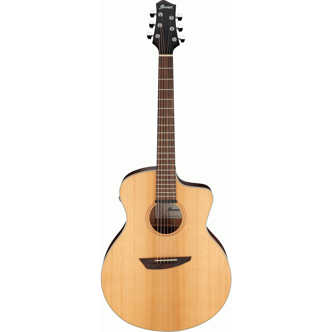 Ibanez PA230E NSL Acoustic Guitar